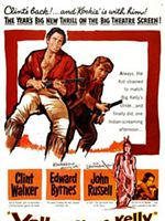 Pôster de A Lei do Mais Valente