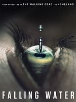 Pôster de Falling Water