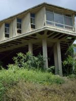 Pôster de Bickels [Socialism]