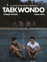 Pôster de Taekwondo