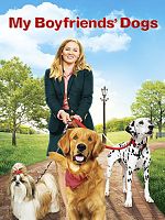 Pôster de Um Amor Verdadeiro