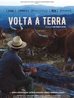 Pôster de Volta à Terra