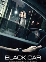 Pôster de The Wrong Car