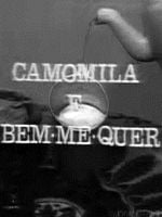 imagem de Camomila e Bem-Me-Quer
