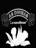 imagem de As Divinas… e Maravilhosas
