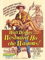 Pôster de Odisseia do Oeste