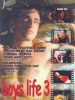 Pôster de Meninos e Amores 3