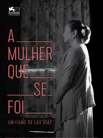 Pôster de A Mulher Que Se Foi