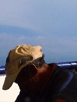 Pôster de Ruínas Seu Reino