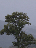 Pôster de A Prisão em 12 Paisagens