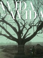 Pôster de A Vida Após a Vida