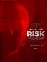 Pôster de Risk