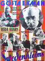 Pôster de Swedenhielms