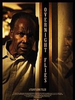 Pôster de Moscas Noturnas