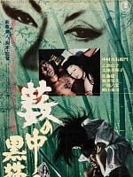 Pôster de O Gato Preto