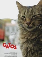 Pôster de Gatos