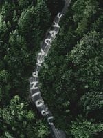 Pôster de O Desaparecimento de Cara Cook