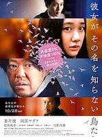 Pôster de Birds Without Names