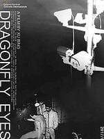 Pôster de Dragonfly Eyes