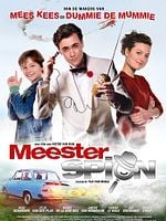 Pôster de Espião por Acaso