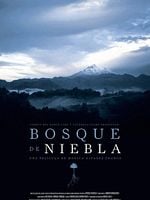 Pôster de Bosque de Névoa