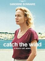 Pôster de Seguindo o Vento