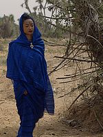 Pôster de A Aliança