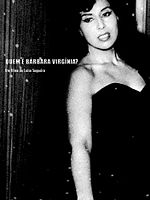 Pôster de Quem é Bárbara Virgínia?