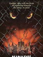 Pôster de Olhos da Noite