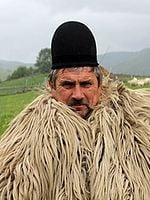 Pôster de Minha Transilvânia - Vencedores e Perdedores