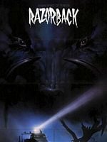 Pôster de Enigma na Estrada