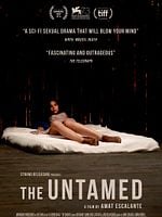 Pôster de A Região Selvagem