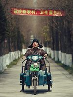 Pôster de Dead Pigs