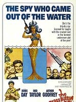 Pôster de A Espiã de Calcinhas de Renda