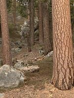 Pôster de Equinócio de Primavera