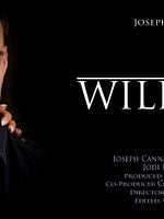 Pôster de No One Will Notice