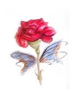 Pôster de Sublime Cor do Teu Silêncio