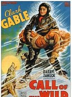 Pôster de O Grito da Selva