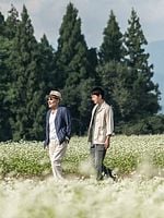 Pôster de Kazenoki Wa Koto No Youni