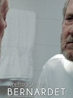 Pôster de A Destruição de Bernardet