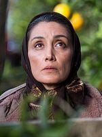 Pôster de A Plantação de Laranjas