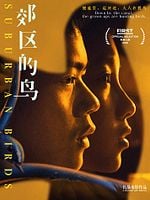 Pôster de Pássaros do Subúrbio