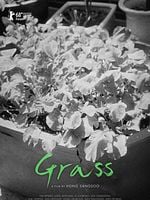 Pôster de Grass