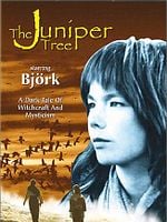 Pôster de Einitréð