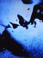 Pôster de Self-Portrait in 23 Rounds: A Chapter in David Wojnarowicz's Life, 1989-1991