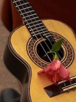 Pôster de Corpo Quilombo