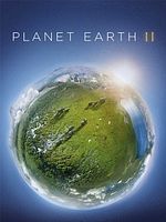 Pôster de Planet Earth II
