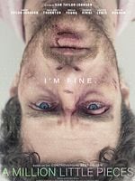 Pôster de A Million Little Pieces