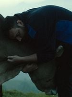 Pôster de Lessons of Love