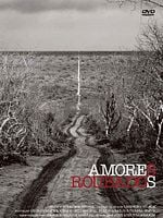 Pôster de Amores Roubados - O Filme